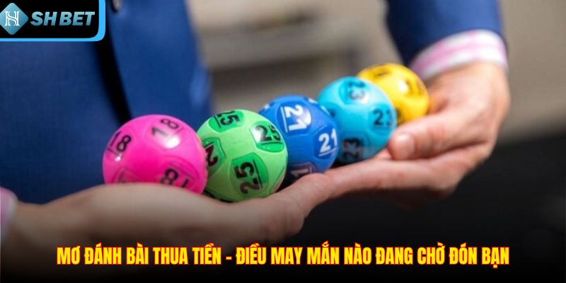 Mơ đánh bài thua tiền – Điều may mắn nào đang chờ đón bạn