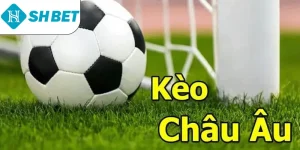 ảnh đại diện kèo châu Âu