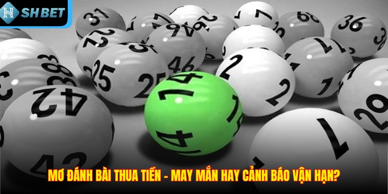 Mơ đánh bài thua tiền – may mắn hay cảnh báo vận hạn?