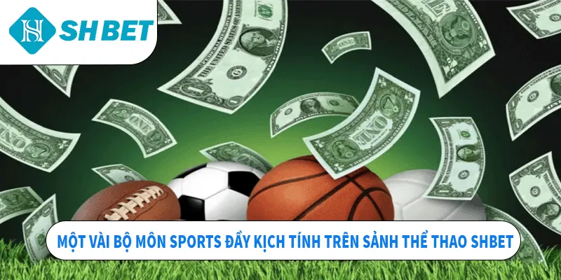 Một vài bộ môn sports đầy kịch tính trên sảnh thể thao SHBET